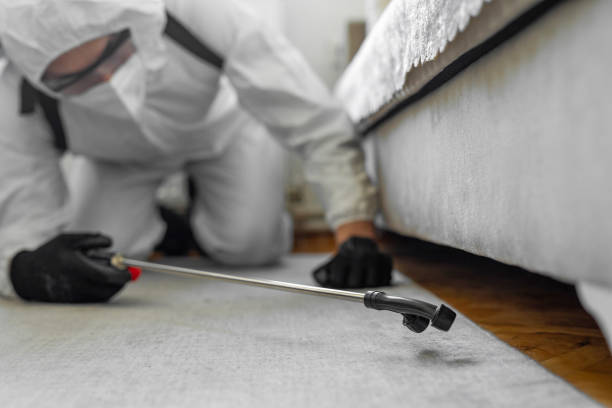 Professional Termite Control technician working in Norwich, NY